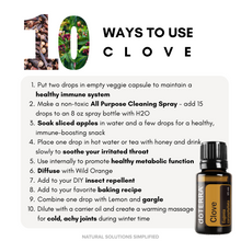 Carica l'immagine nel visualizzatore di Gallery, Olio essenziale di chiodi di garofano dōTERRA - 15ml